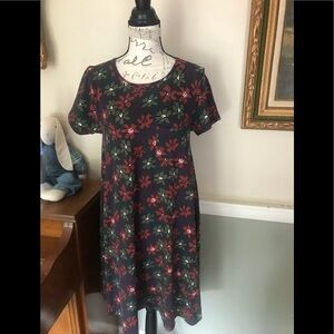 LuLaRoe Carly Dress S